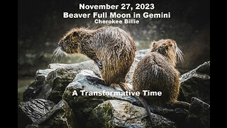 November 27, 2023 Beaver Full Moon in Gemini