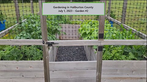 Gardening in Haliburton County - July 1, 2023 Garden #2