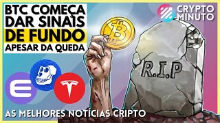 3 SINAIS DO FUNDO - BALEIA BTC ACUMULA 3 BI - BORED APE - BITCOIN - ENJIN NFT - CRIPTO NOTÍCIAS