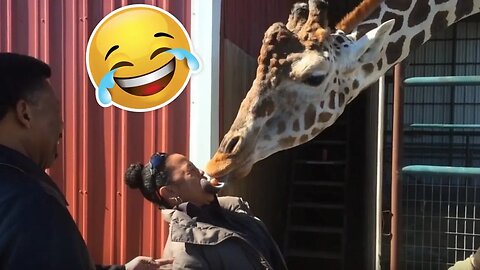 💥Funniest Animals Scaring People Bloopers Viral Weekly😅😜| Funny Animal Videos🔥👌