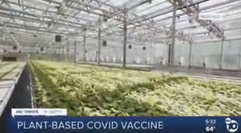 Plant-Based Covid Vaccines - The Food Supply is Controlled by the Enemy....