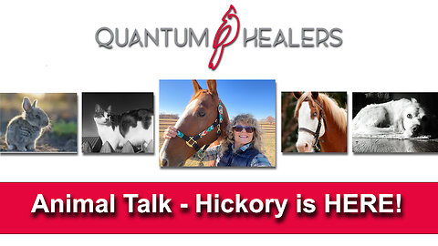 Animal Talk Ep. 4: Hickory is HERE!