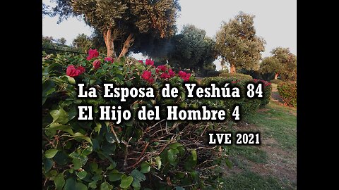 La Esposa de Yeshúa 84 - El Hijo del hombre 4