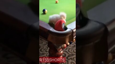 pappy funny Video |#youtubeshorts |#r150shorts | #ytshorts