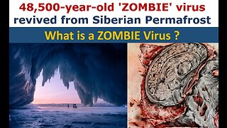 Climate Tracker: Scientists revive 48,500-year-old ‘zombie virus’ buried in ice | English News