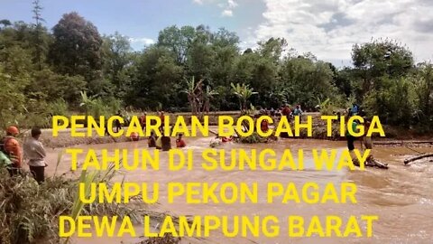 Motor Jatuh Ke Sungai Way Umpu Haikal Bocah Tiga Tahun Hanyut Terbawa Arus