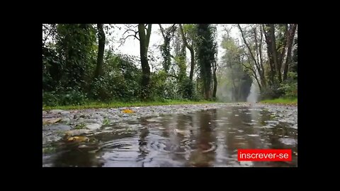 🎧 Som de chuva e natureza para relaxar e dormir- ASMR