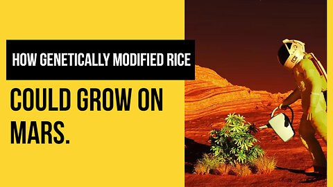 How Genetically modified rice could grow on Mars.