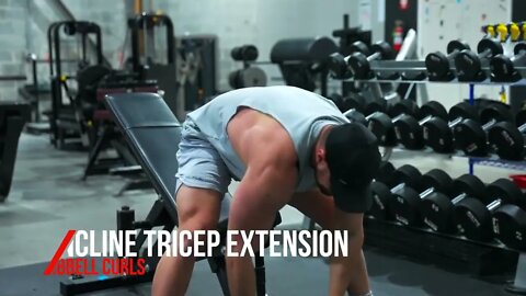 Incline Tricep Extension / Incline Bicep Curls - Superset