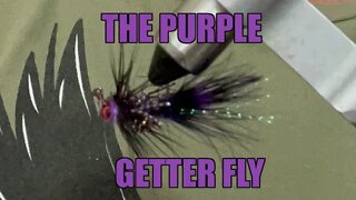 #8 Jig Nymph Hook Purple Getter Fly