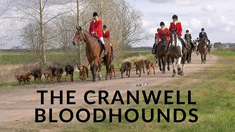 "Hunting with Bloodhounds & The Cranwell Bloodhounds"