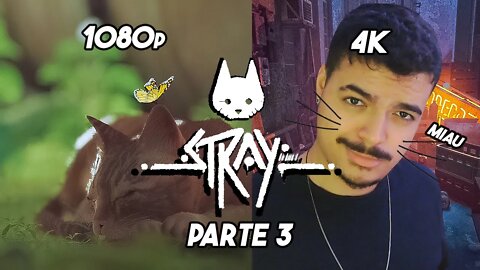 O jogo do gato - Stray- Parte 3