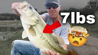 Insane Giant Bass Catch...Two of them back to back!!!