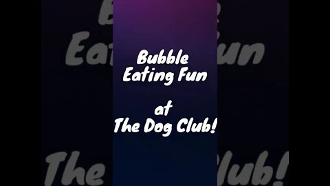 Bubble Eating Fun!