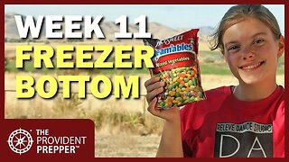 90-Day Challenge - Week 11 - Freezer Bottom Treasures