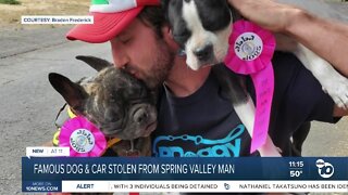 Spring Valley man searching for his two dogs after they were inside his car that was stolen