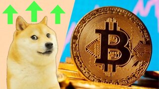 This BitCoin Stat Proves DogeCoin Will Pass It’s Previous High!!!!!!!!!