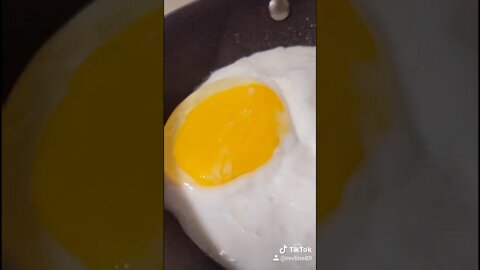 Cooking Eggies - A Video Short By Scott Wenger