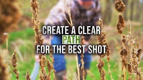 Create a Clear Shooting Lane From a Ground Blind