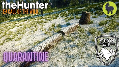 Quarantine, Yukon Valley | theHunter: Call of the Wild (PS5 4K)