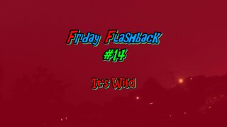 Black Friday Flashback #14