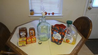 Easy DIY Fruit Mead (Honey Wine)