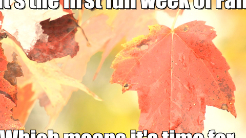 The first week of fall...