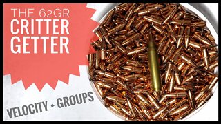 Testing "The Critter Getter" - 62gr Soft Point With SW Match Rifle And CCI #400 Small Rifle Primers