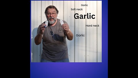 Fall garlic planting time.