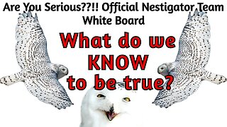 PART 2 - Nestigators! Let's List the FACTS That We KNOW to be True on the AYS Whiteboard!