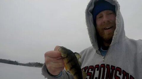 BLUE GILL FUN! | Wisconsin Ice Fishing