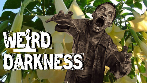 “A DRUG THAT CREATES ZOMBIES” and 4 More True Paranormal Stories! #WeirdDarkness