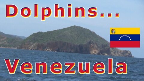 Swimming with Dolphins... Venezuela October 18, 2019 🔴 Part 8 of 12 🔴