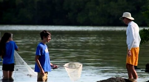 'A Day in the Life of the Indian River Lagoon'