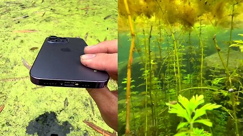 Iphone Pro Max Mobile phone//Shallow water Footage reveals Iphone Pro Max breathtaking new world Nature