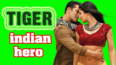 Tiger (2012) Indian movie in 7 min