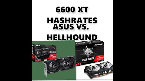 6600 XT HashRates Asus VS. HellHound