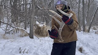 BOONER SET | Iowa Public land | Shed Hunting