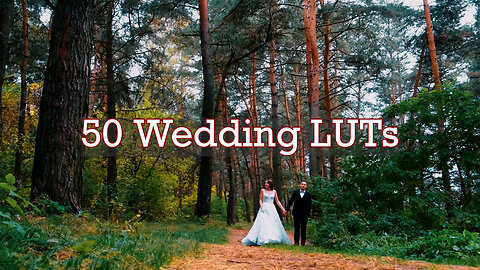 50 Wedding LUTs for Adobe Premiere