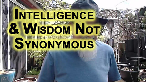 Intelligence and Wisdom Are Not Synonymous: Those That Submit to Authority Are Serfs