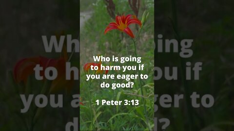 WHO WOULD HATE A FOLLOWER OF JESUS? | MEMORIZE HIS VERSES TODAY | 1 Peter 3:13 With Commentary!