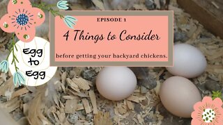 Egg to Egg: Episode 1 - 4 Things to Consider before getting Backyard Chickens.