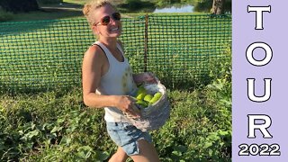 Garden Tour 🌻 August 2022 || Come Harvest Vegetables with Me!