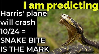 I am predicting: Harris' plane will crash on Oct 24 = SNAKE BITE IS THE MARK!