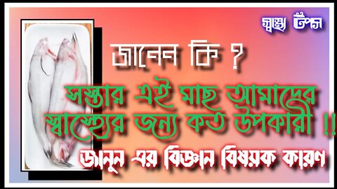 ll সস্তার এই মাছটি আপনার পাতে থাকলে স্বাস্থ্যের জন্য চিন্তা করতে হবে না তা জানেন কি? Bombay Duck ll