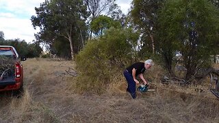 Out with the chainsaw - the falling trees are catching up!