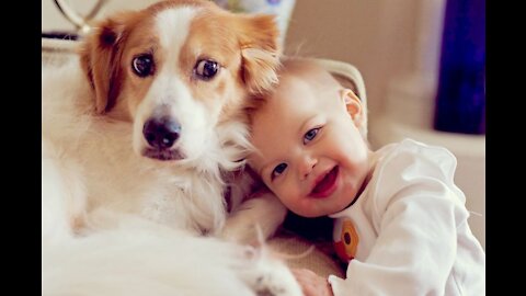 Cute Babies Playing With Dogs Compilation | Funny Baby And Pets