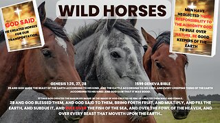 Part 2 Edited Wild Horses Communist Progressives Caused The Great Depression w PG