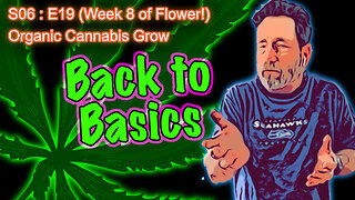 S06 E19 (Day #127) || Day 50 of Flower || How to Grow Cannabis for Beginners
