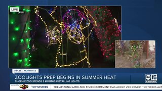 Preparations underway in July for Zoolights at Phoenix Zoo